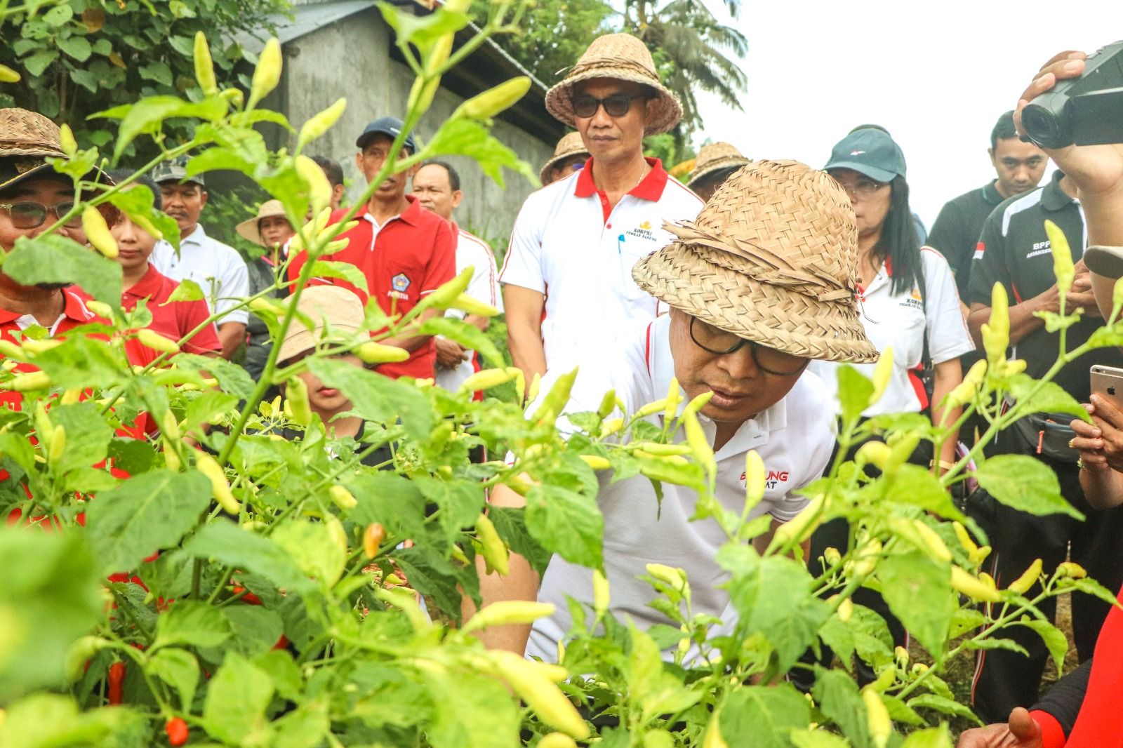 podiumnews.com-Cabai Dapat Pengaruhi Inflasi 